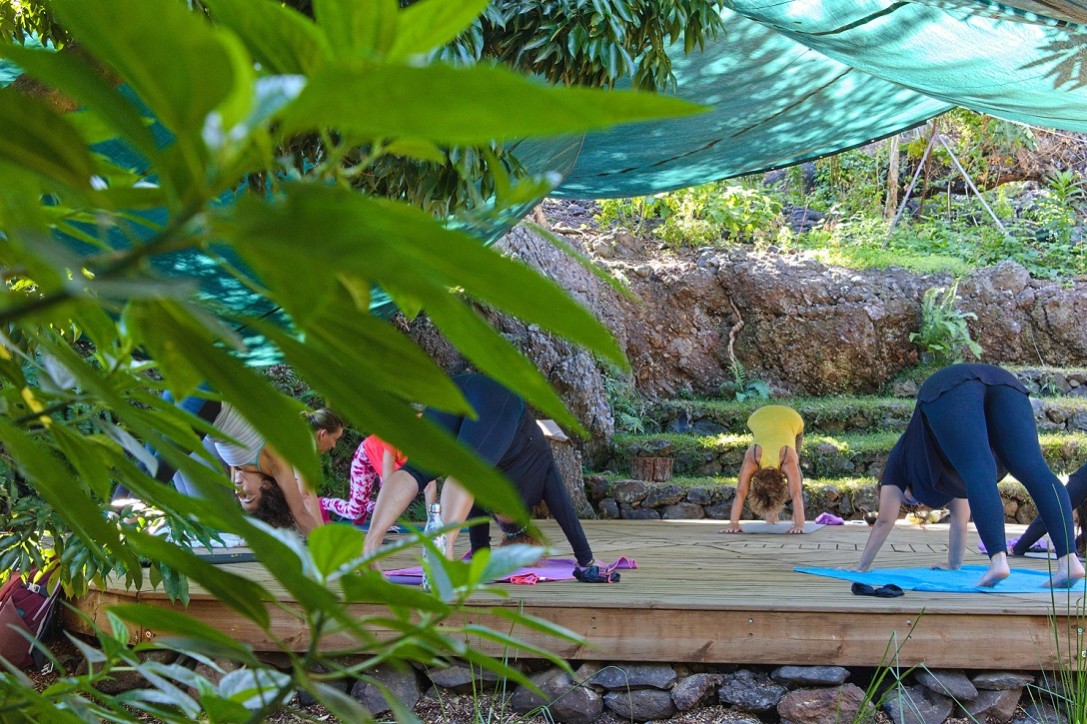 Activités zen & bien-être à La Réunion : yoga, pilates et relaxation dans l'Ouest