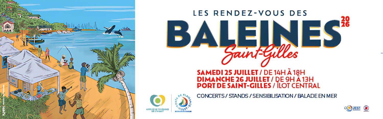 Rendez-vous des Baleines à La Réunion - Animations, sorties en mer et découverte des cétacés