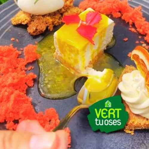 VERT TU OSES La Saline-les-Bains 974