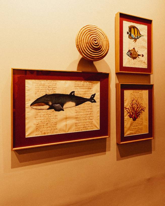 Amore Restaurant Saint-Gilles 974