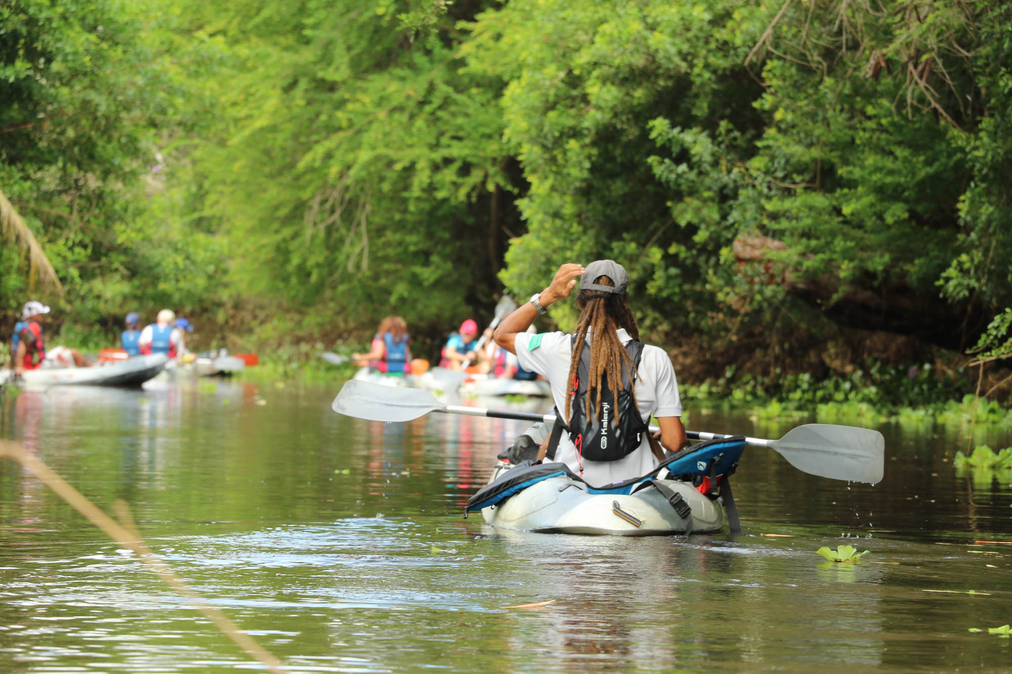 Réserve Naturelle Nationale Etang de SaintPaul Patrimoine Naturel SaintPaul / SaintGilles