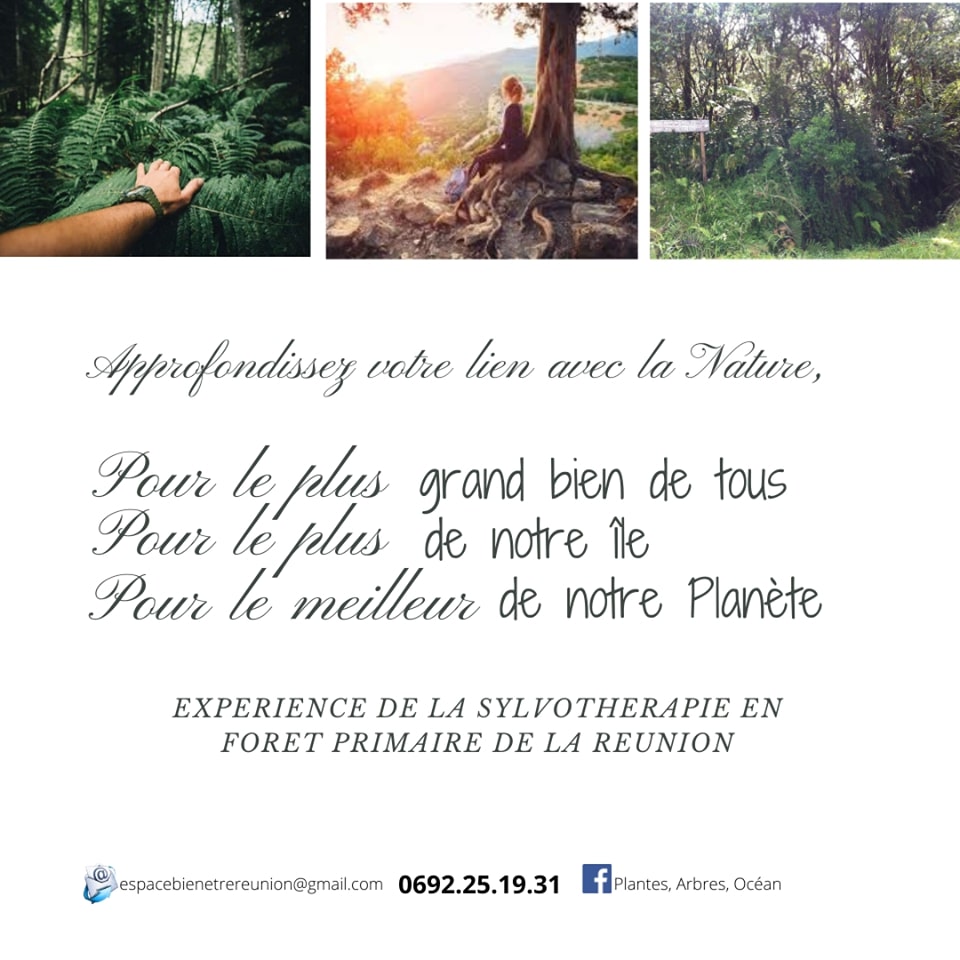 SYLVOTHERAPIE EN PLEINE FORÊT