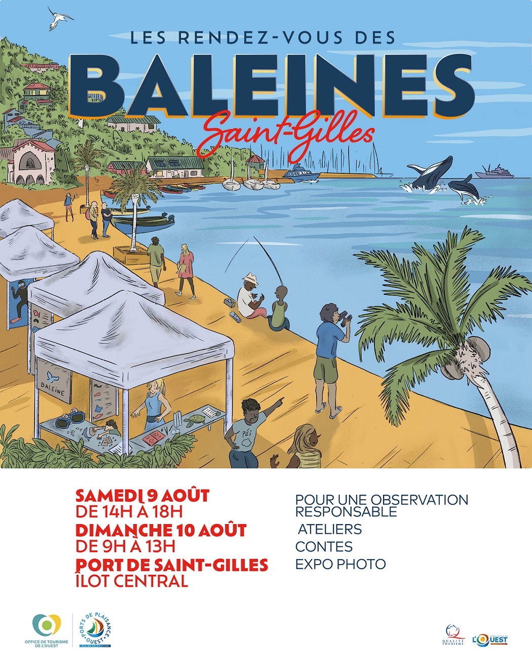 LES RENDEZ-VOUS DES BALEINES 
