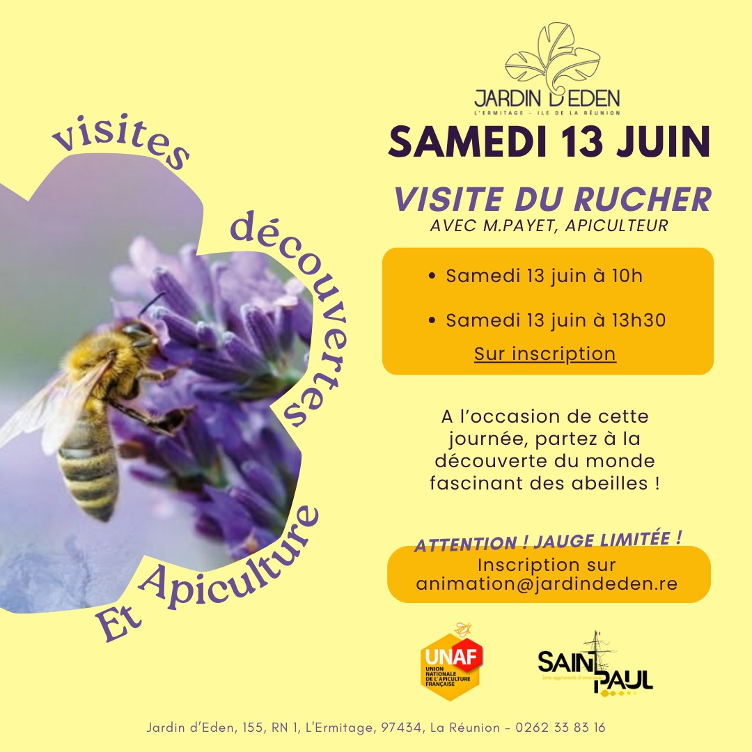 VISITE DU RUCHER DU JARDIN D'EDEN