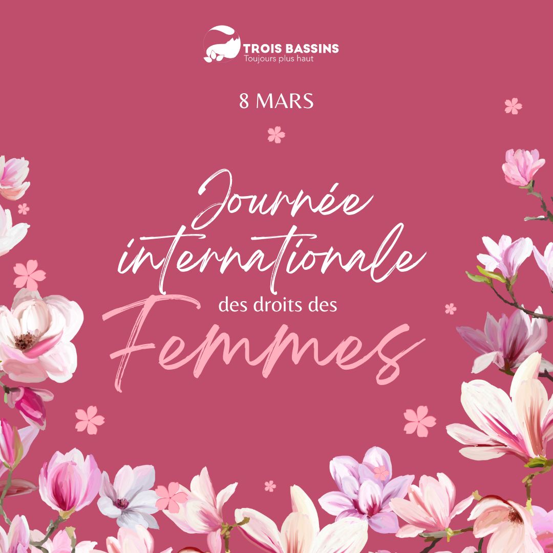 JOURNÉE INTERNATIONALE DES DROITS DES FEMMES À TROIS BASSINS