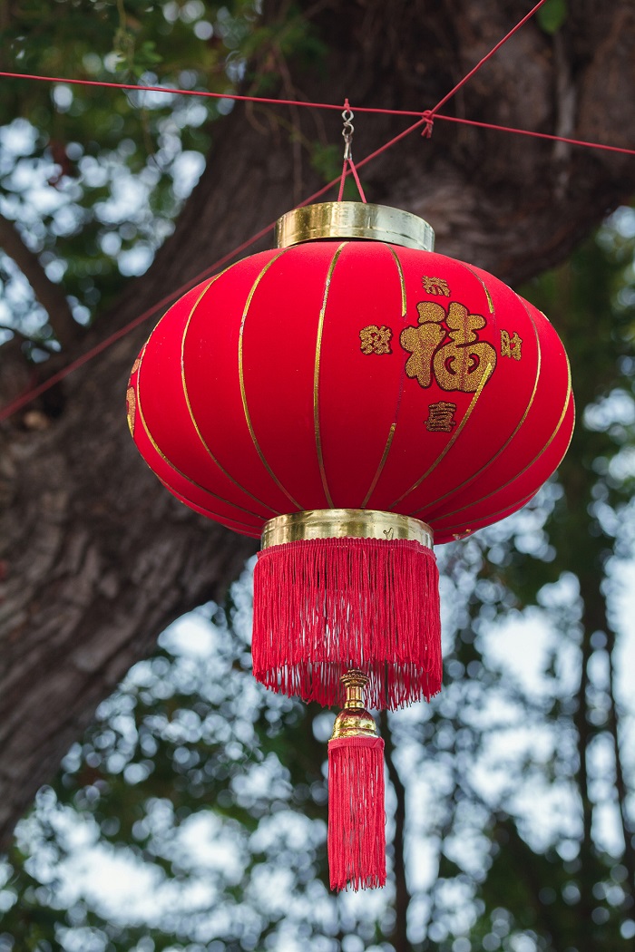 NOUVEL AN CHINOIS : TRADITIONS ET RENCONTRES AU COEUR DE L'OUEST