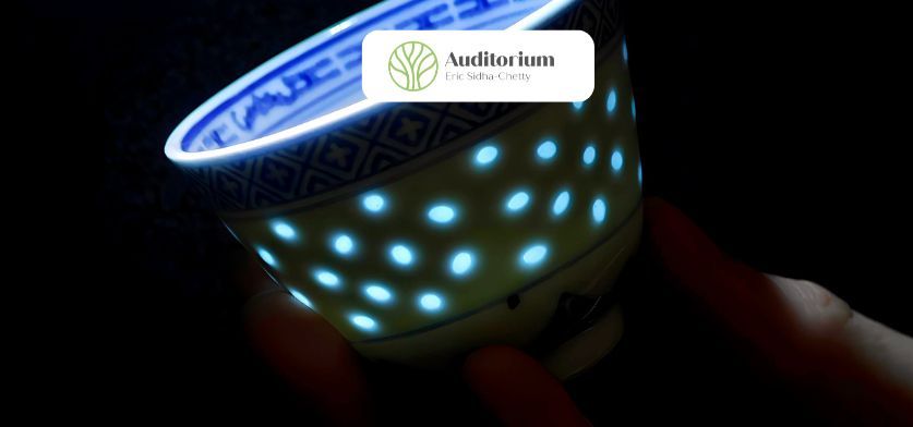 CONFERENCE  LE TI BOL GRAIN DE RIZ