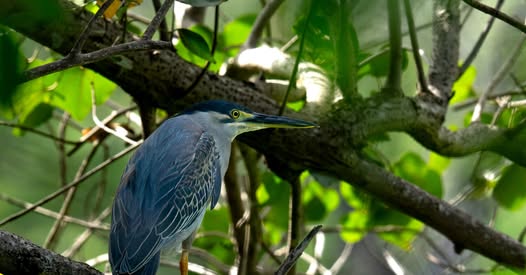 LES ANIMATIONS DU MOIS A L ETANG ST PAUL
