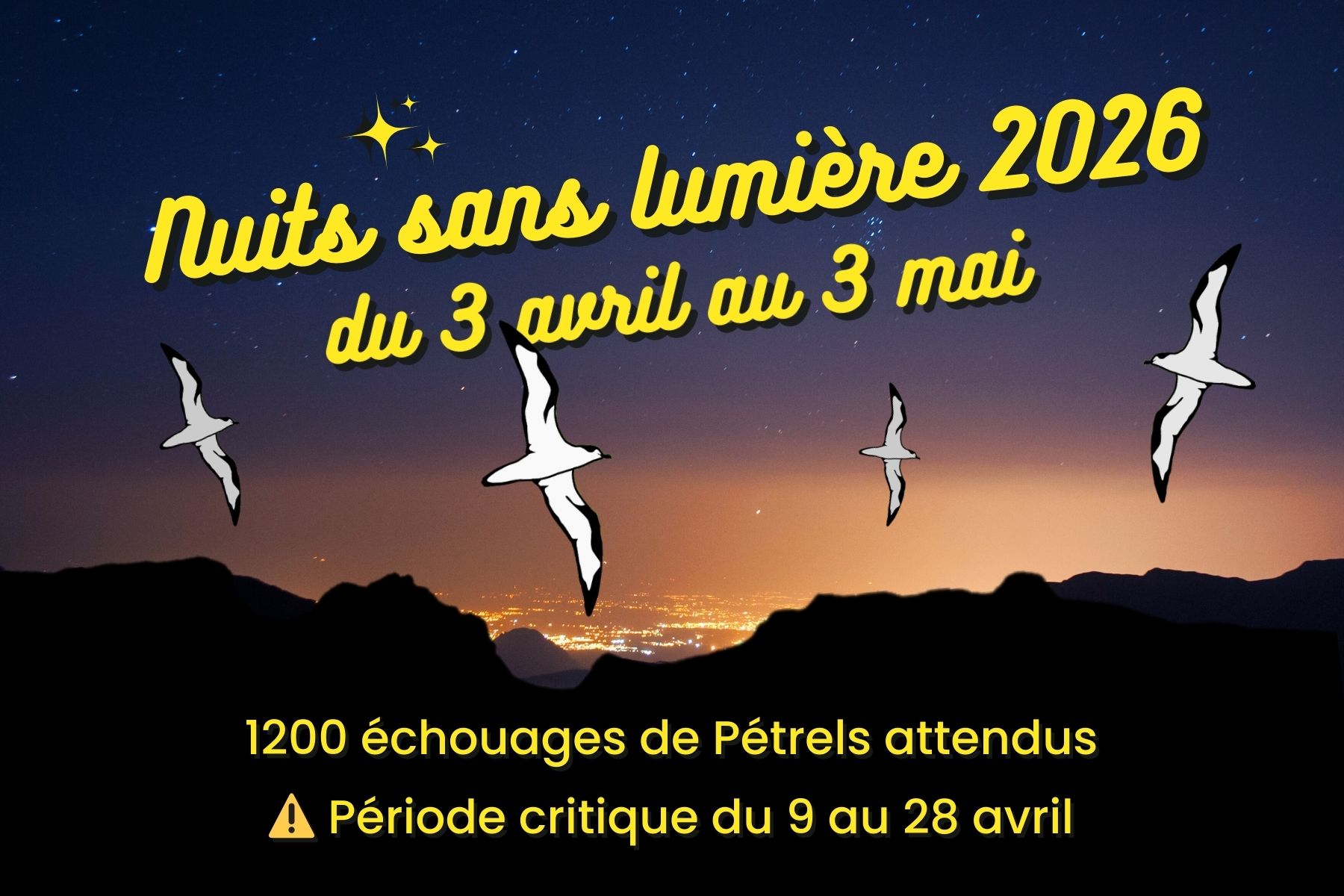 LES NUITS SANS LUMIERE PROTEGEONS LES PETRELS DE BARAU