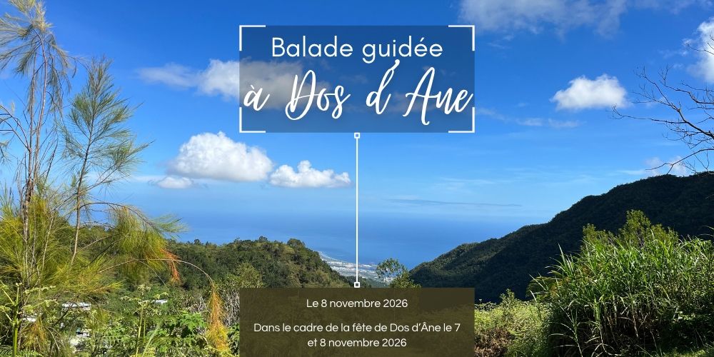 La fête de Dos d'Âne