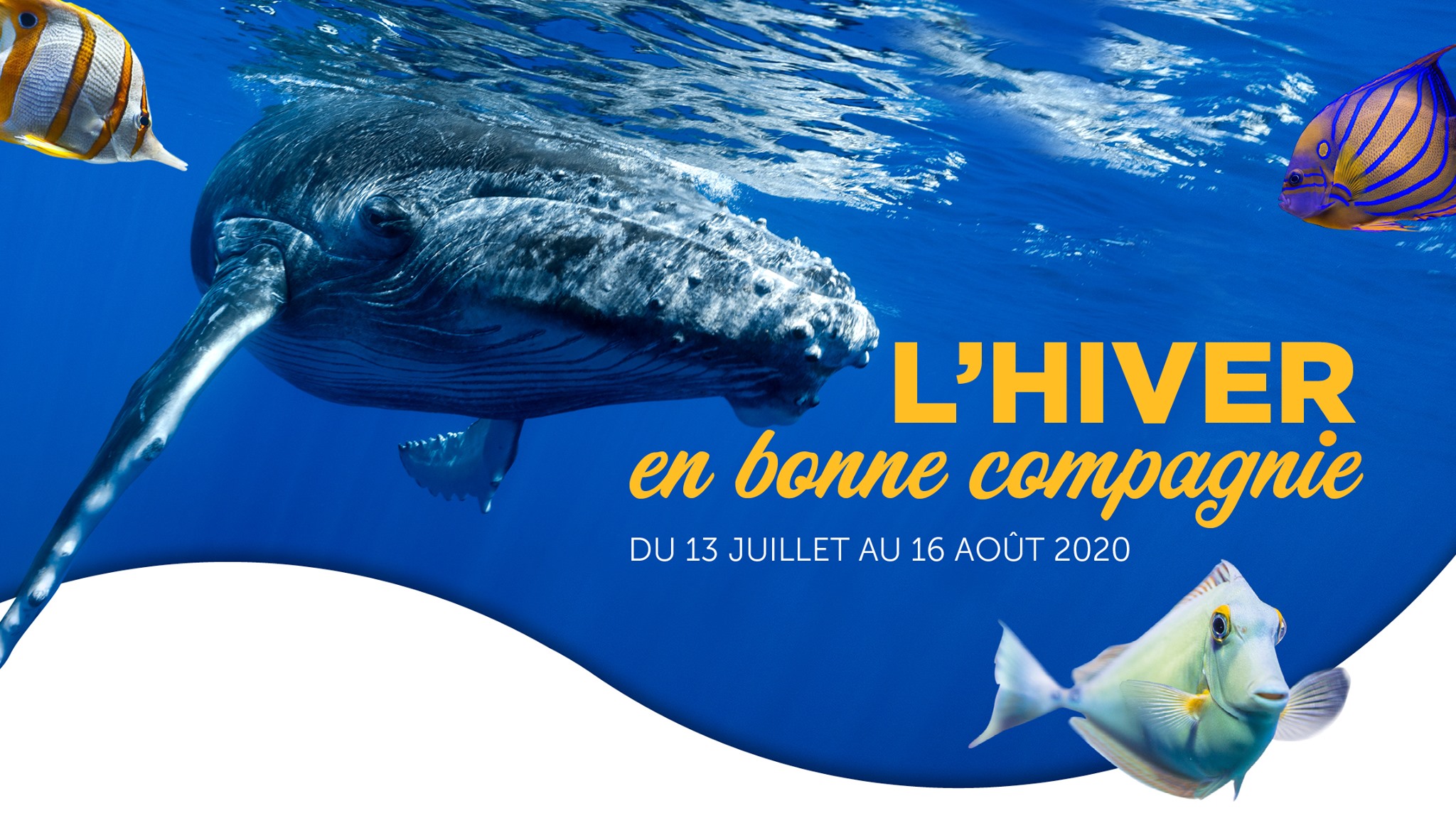 VACANCES HIVER AUSTRAL À L'AQUARIUM Agenda L'actu des musées Port