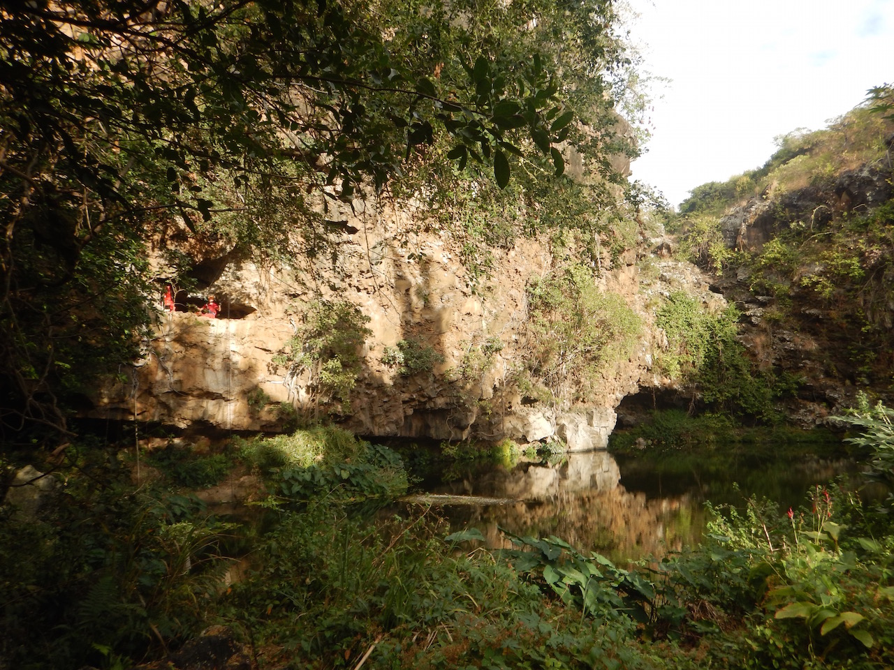 VISITE GUIDÉE DU TUNNEL DE LAVE DU BASSIN BLEU AVEC RICARIC