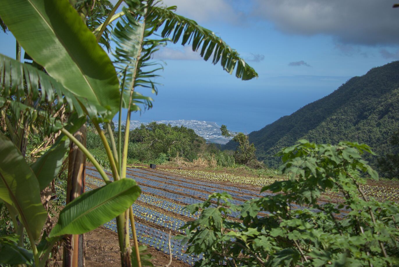 BALADE À DOS D'ANE - VISITE D'UN VILLAGE AUTHENTIQUE