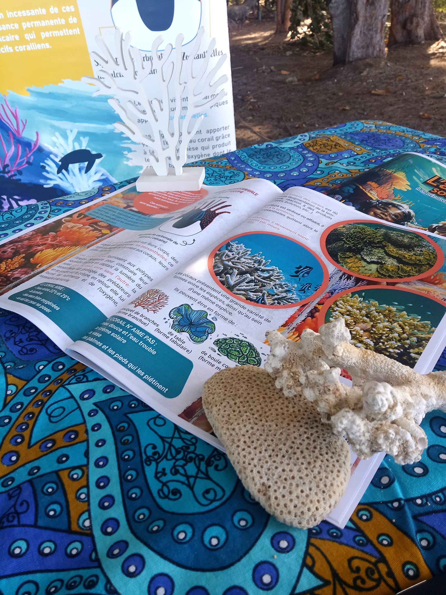 ZARLOR LOISIR SOMIN LA MER