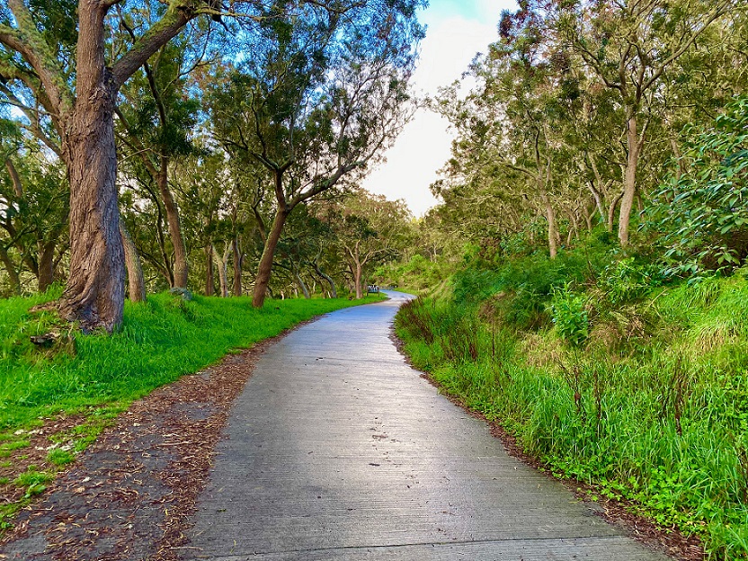 TROIS-BASSINS ET SAINT-LEU - FESTIVAL DE SENS - COMPLET