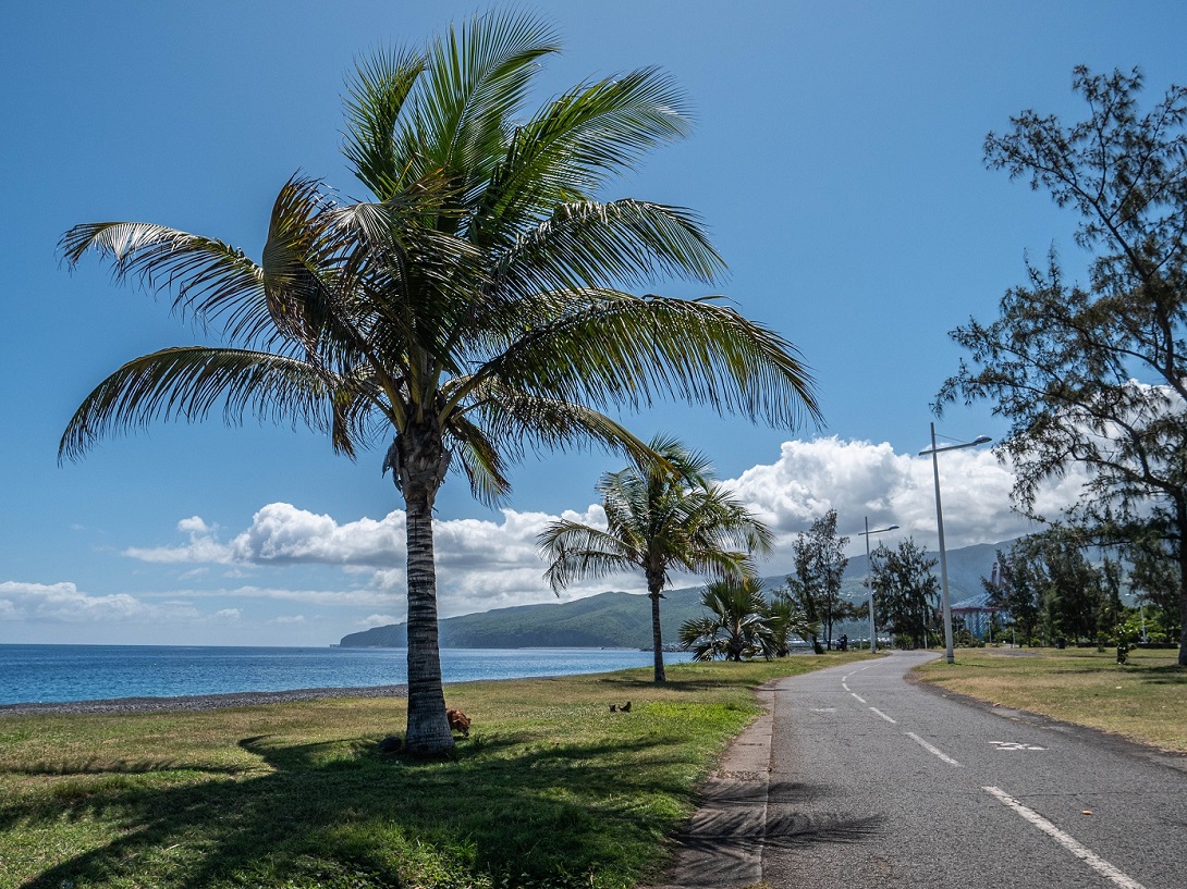 VISITE GUIDÉE DU PORT EST EN BUS - FESTIVAL DE L'OCÉAN
