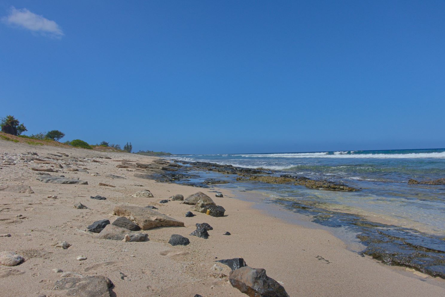 BALADE BORD'MER - FESTIVAL DE L'OCÉAN