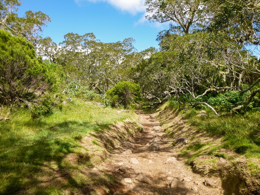 FDR 2024 - Week-end 26 & 27 rando 4