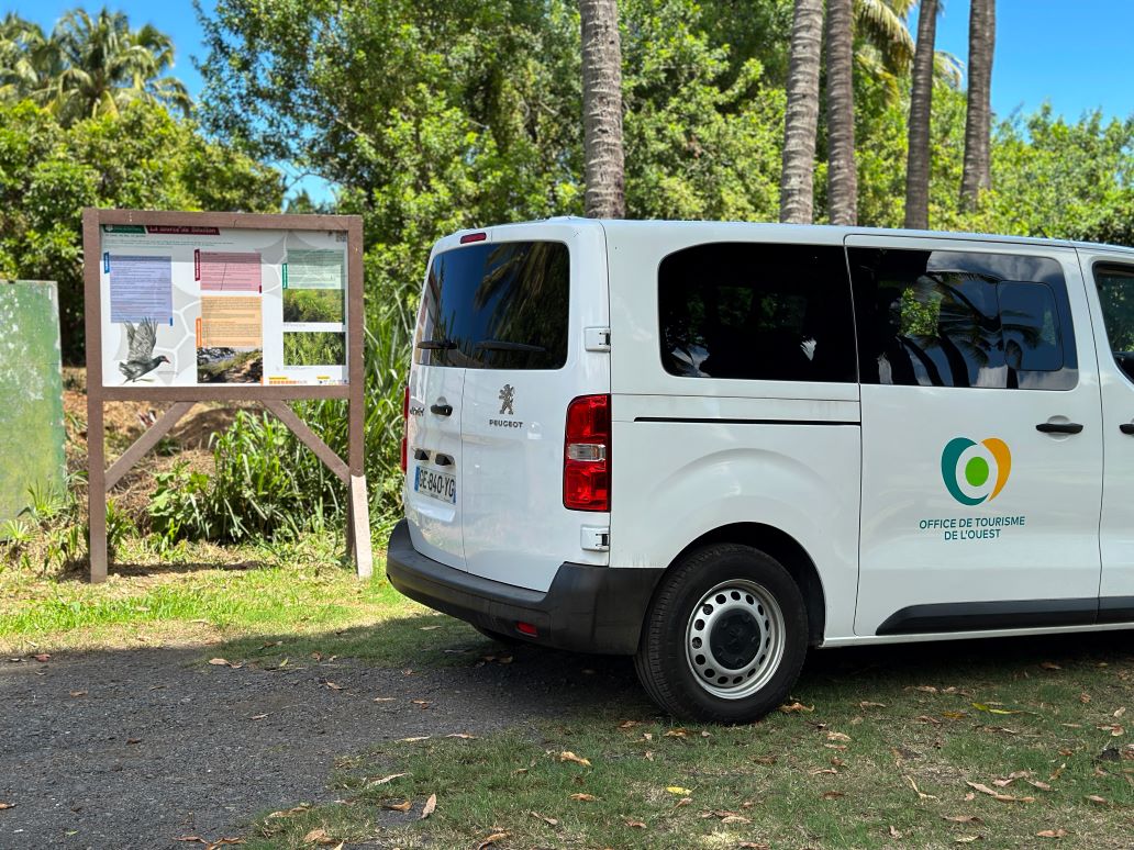 ZARLOR ZISTWAR DANN MINIBUS