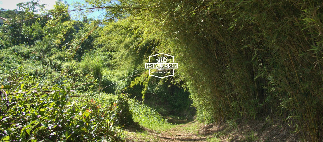 AU COEUR DU VILLAGE DE DOS D'ÂNE - FESTIVAL DES SENS