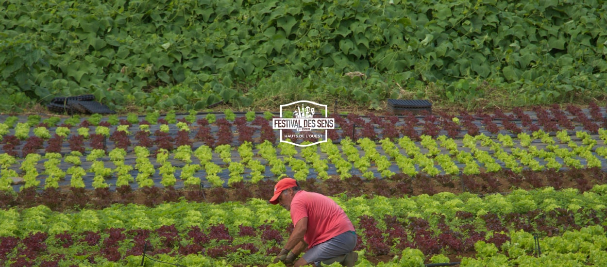 AU COEUR DES PLANTATIONS DE VALENTINE [COMPLET] - FESTIVAL DES SENS