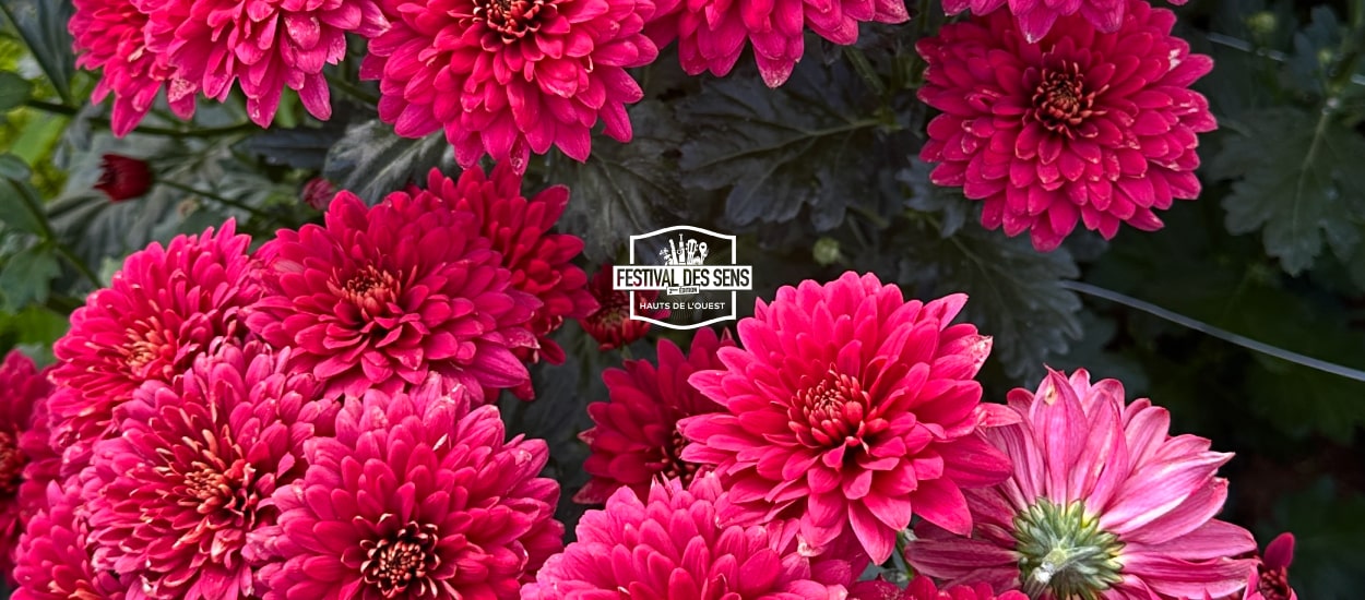 AU COEUR DE L'EXPLOITATION HORTICOLE DE LAURENCE - FESTIVAL DES SENS