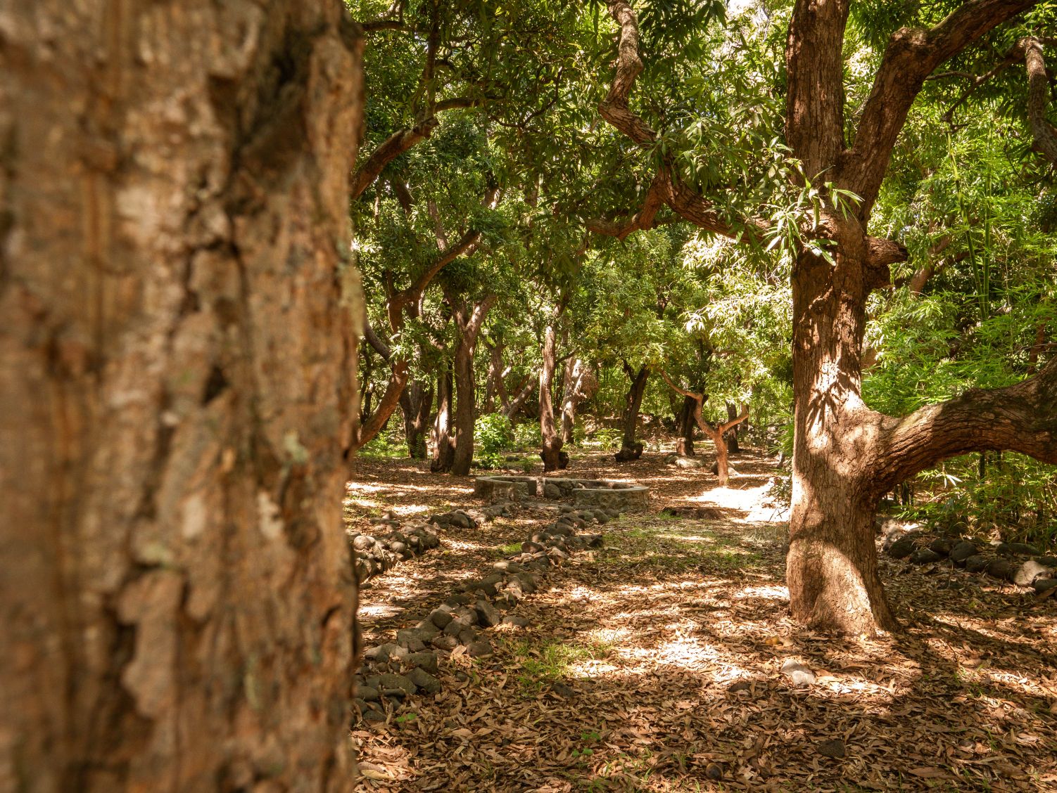 JEP 2025 - L'AVENTURE DU TRÉSOR DE LA BUSE