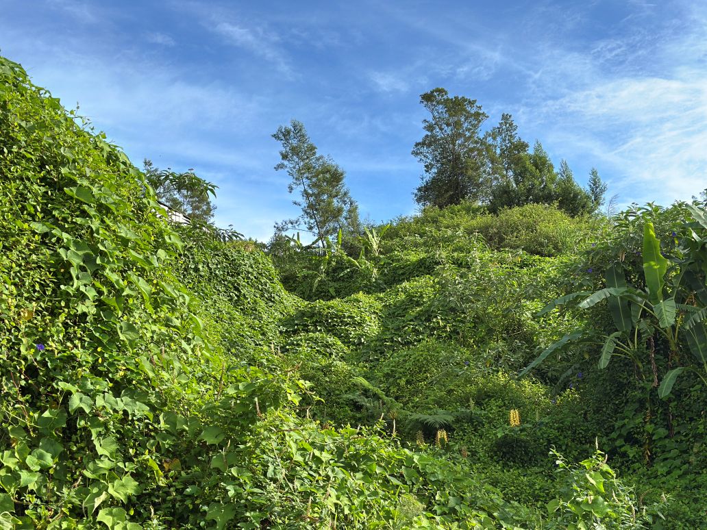 O JARDIN DES SENS SPECIAL FÊTE DU TERROIR