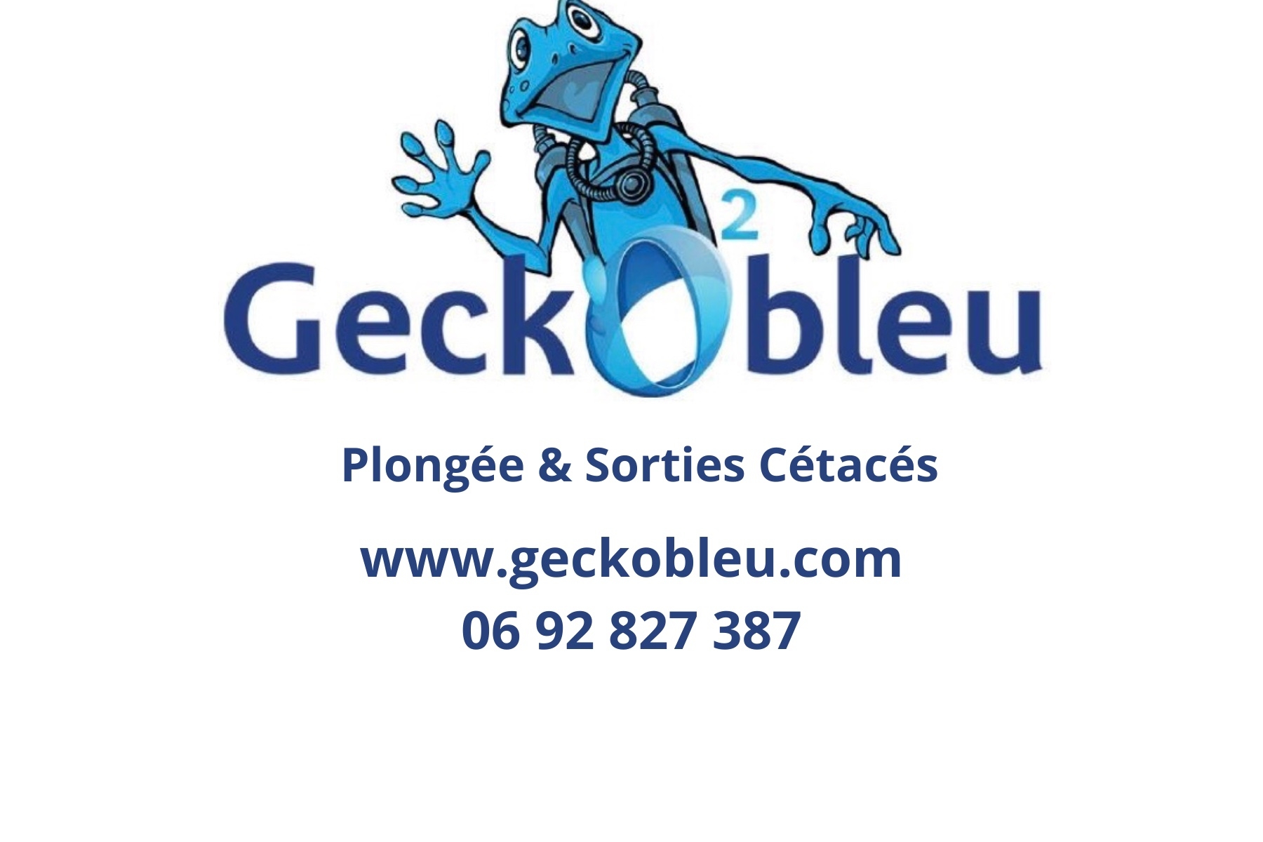 GECKO BLEU - NOU VIV SA TER LA