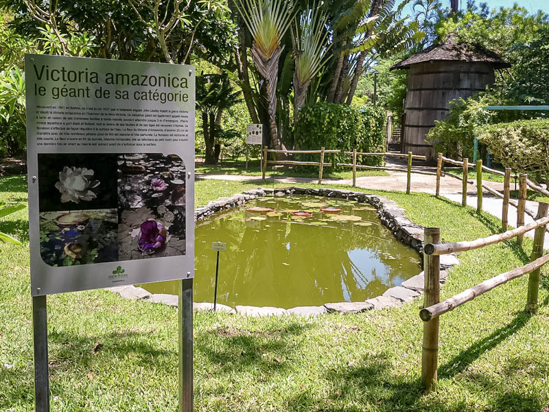 Intérieur du jardin d'Eden à visiter en famille ile de La Réunion 974