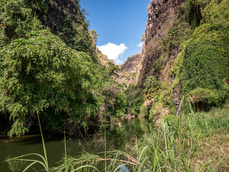 Ravine Bernica Saint-Paul ile de La Réunion 974